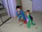 DSCN5008