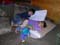 DSCN5203